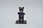 LEGO Figur Super Heroes Catwoman Batman Cat Woman sh006 DC Comics 6858